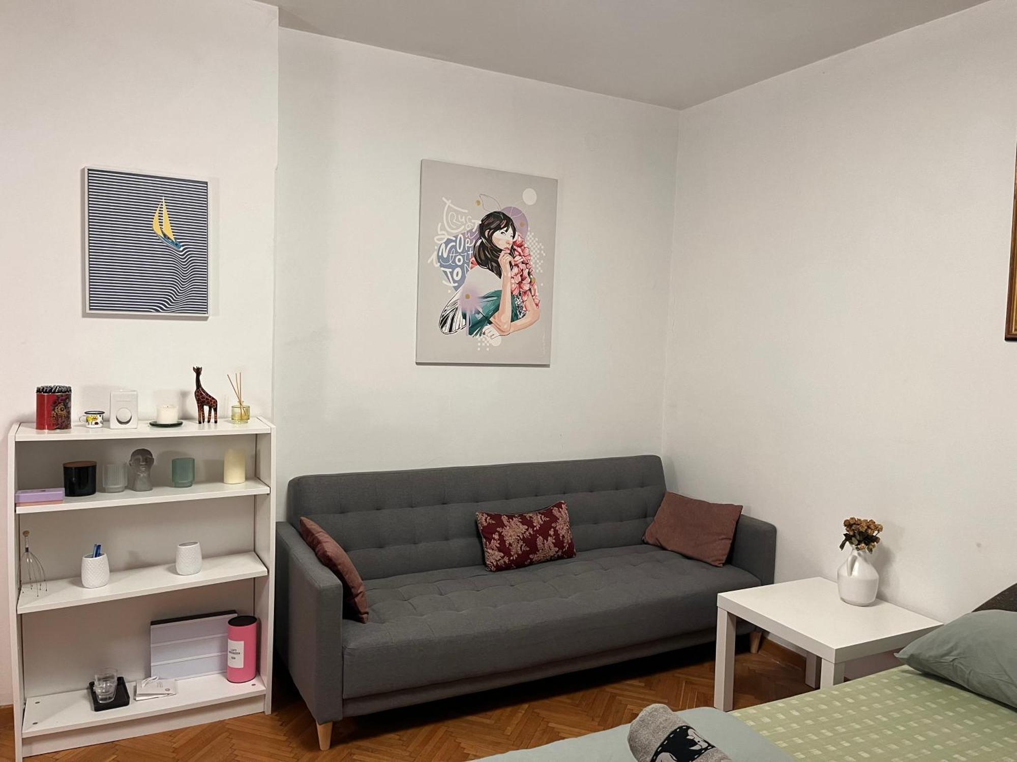 Istanbul Apartment 2 贝尔格莱德 外观 照片